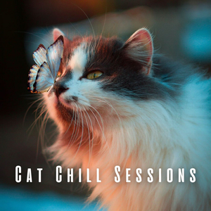 Whisker Twitching Chill