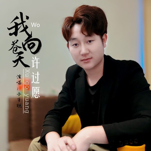 我向苍天许过愿