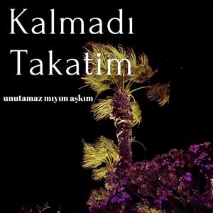 Gökyüzüne Aşk Yolculuğu