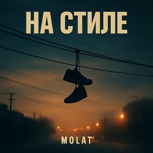 На стиле