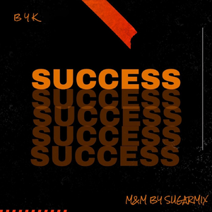 Success