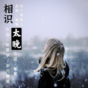 相识太晚 (伴奏)