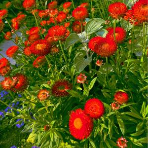 What You Need (feat. Grizzy Mack)