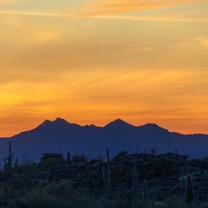 Hugh Steeply And Remy Marathe Meet Atop A Hill Overlooking Tucson, AZ