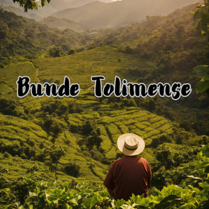 Bunde Tolimense