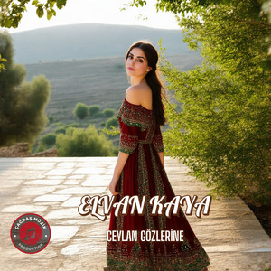 Ceylan Gözlerine (Halk Türküsü)