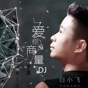 爱你没商量 (Dj版)