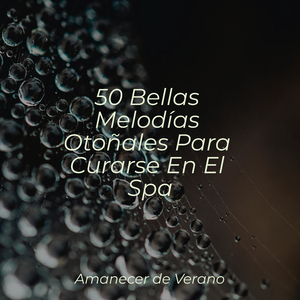 Melodía de ensueño aterciopelada