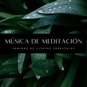 Agua De Lluvia Motivadora