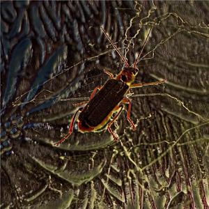 Investigations of a Dog