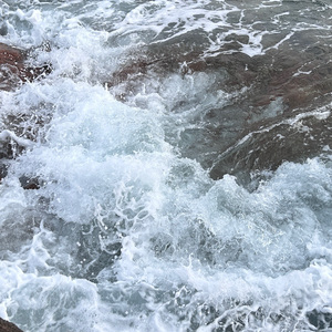 棠梨煎雪（翻自 银临）