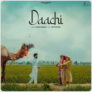 Daachi