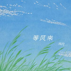 等风来