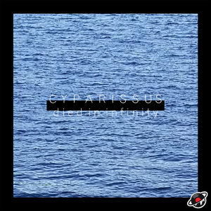 Diffident (Original Mix)