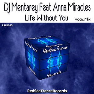 Life Without You (Vocal Mix)