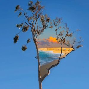 你的影子(Cover：风子)