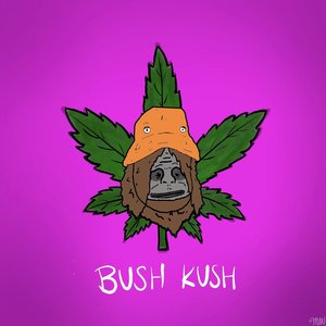 Bush Kush