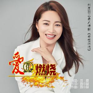 爱在燃烧 (DJ何鹏版)