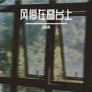 雨后的风很轻