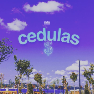 Cédulas