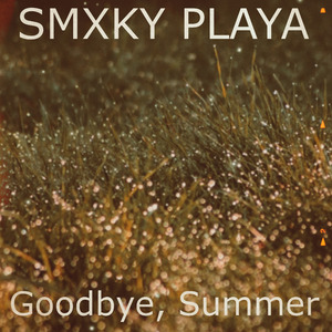 Goodbye, Summer