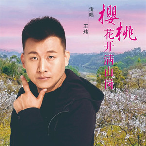 樱桃花开满山岗 (DJ默涵版)