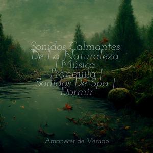 Melodía Melancólica Nebulosa