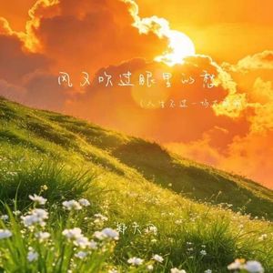 风又吹过眼里的愁 (人生不过一场大醉啊)