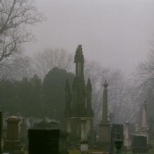 DISSOCIATING (feat. Sean Pettigrew, Kyle Young & Connor Donnachie)