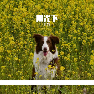 《忘记不了的 会梦见的》