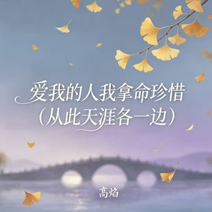 爱我的人我拿命珍惜（从此天涯各一边）