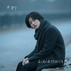 真心的人最容易被冷落 (黄宁 Remix)