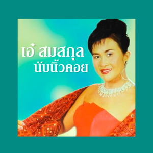 ส้มตำมิเตอร์