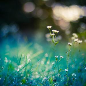 I want to Stand Beside you