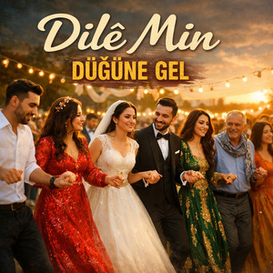 Düğüne Gel