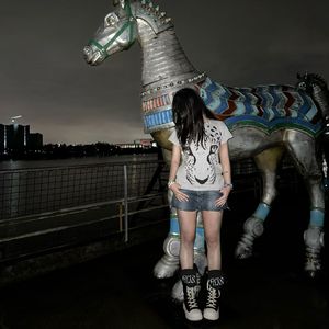 任何诗叶不及你好