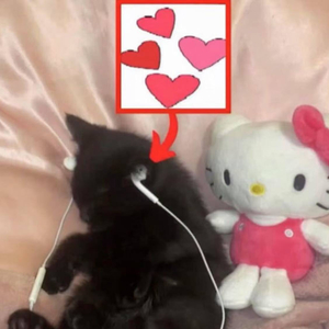 Im cry now（feat.N0bu）