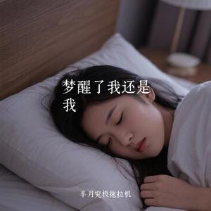 梦醒了我还是我