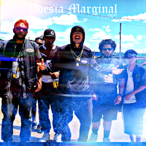 Poesia Marginal Vol 1