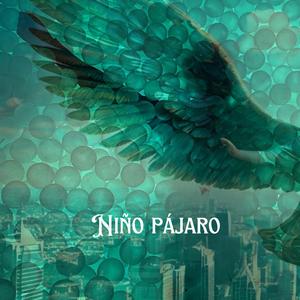 Niño pájaro