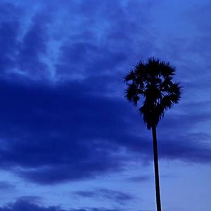 第一次见你的我