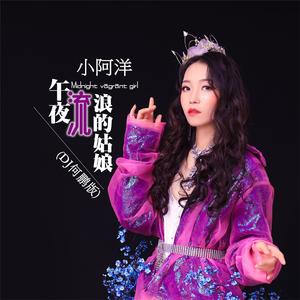 午夜流浪的姑娘(DJ版)