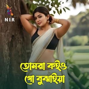 তোমরা কইও গো বুঝাইয়া