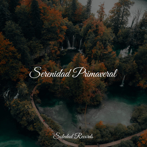 Dormir Profundo, Totalmente Relajado