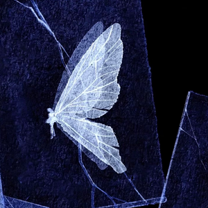 电子蝴蝶（prod.by Morrow x Bino）