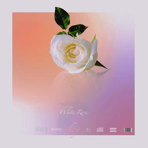 “The White Rose”x Melody Beat（已售断）