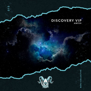 Discovery VIP