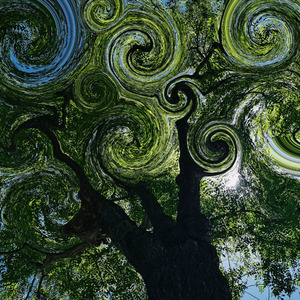 听天由命（Prod.by Jeston）