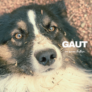 Maison en carton (Version folk)