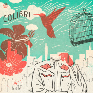Colibri